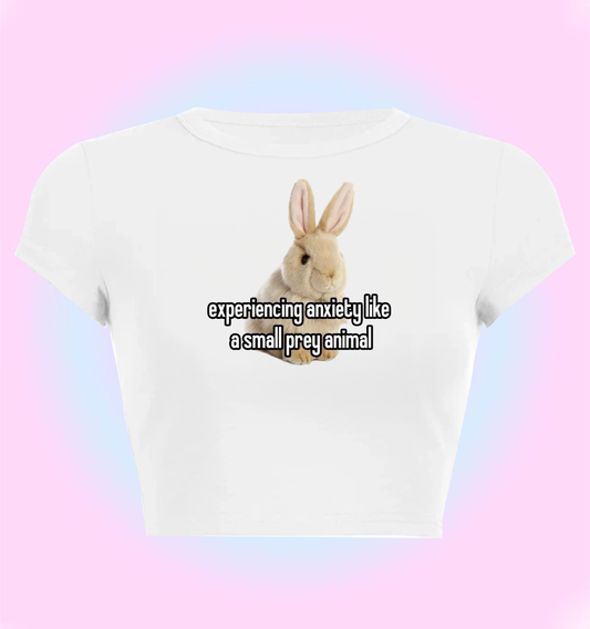 experiencing anxiety like a small prey animal